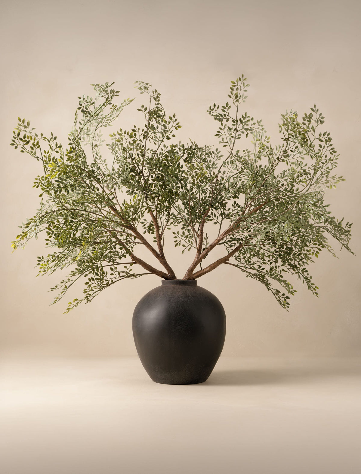 Faux Oversized Ruscus Branch (2 Branches)