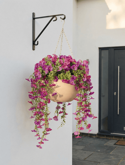 Outdoor Hanging Petunia Basket - Purple