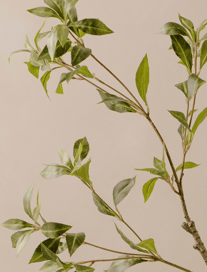 Faux Green Oversized Pieris Branch (2 branches)