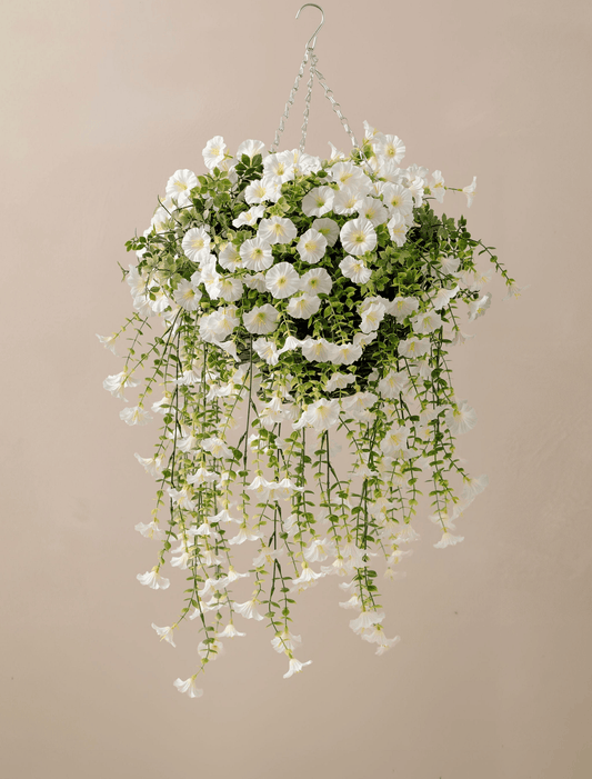 Outdoor Hanging Petunia Basket - White