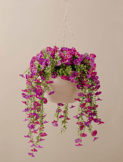 Outdoor Hanging Petunia Basket - Purple