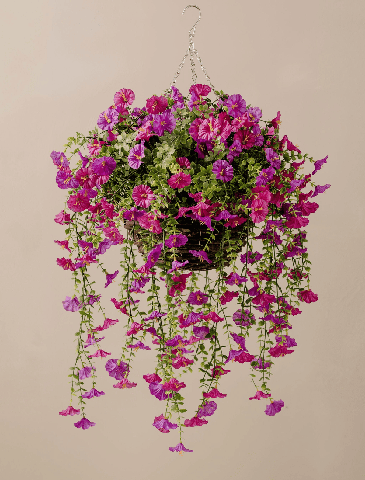 Outdoor Hanging Petunia Basket - Purple