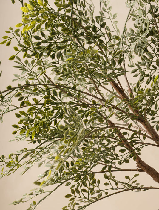 Faux Oversized Ruscus Branch (2 Branches)