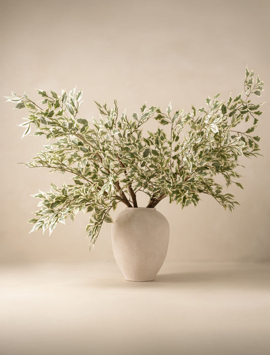 Faux Oversized Ficus Anastasia Branch (2 Branches)