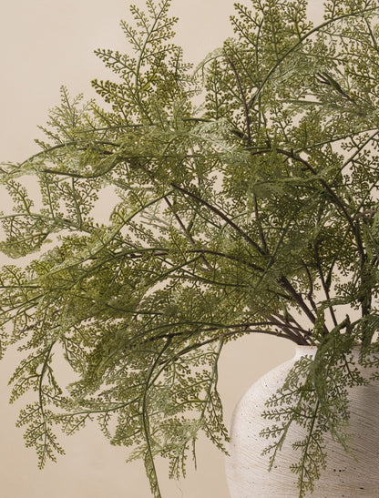 Faux Arrangement - Winter Fern Stems (5 Stems)